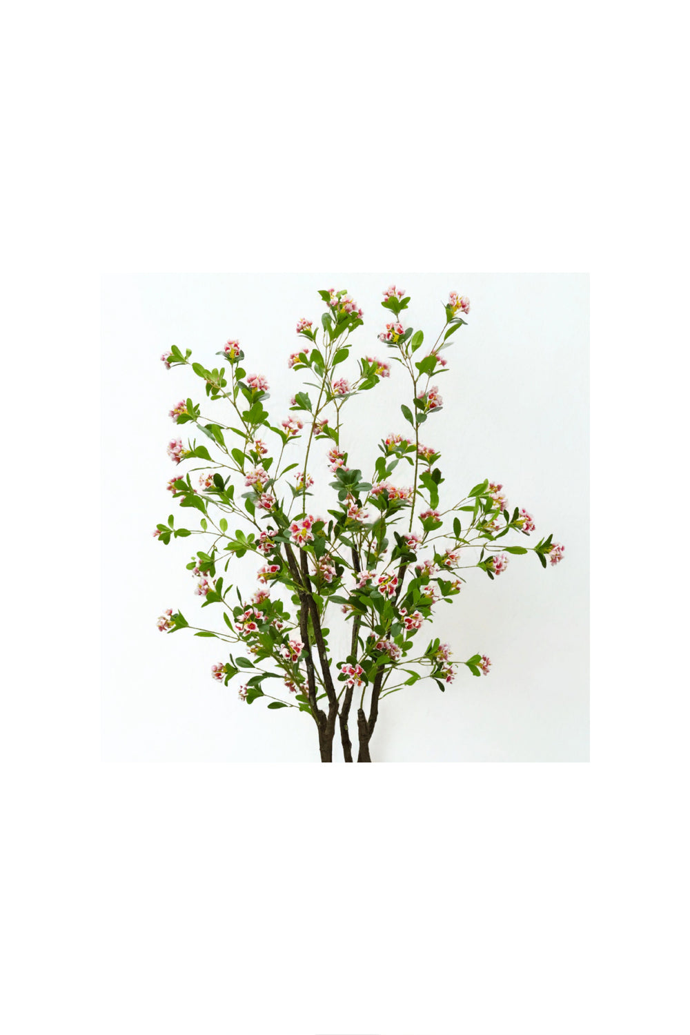 Artificial Escallonia Tree