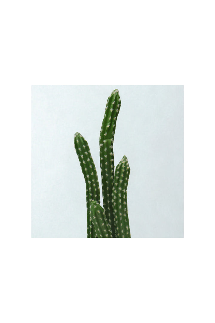 Artificial Cactus Potted Plant