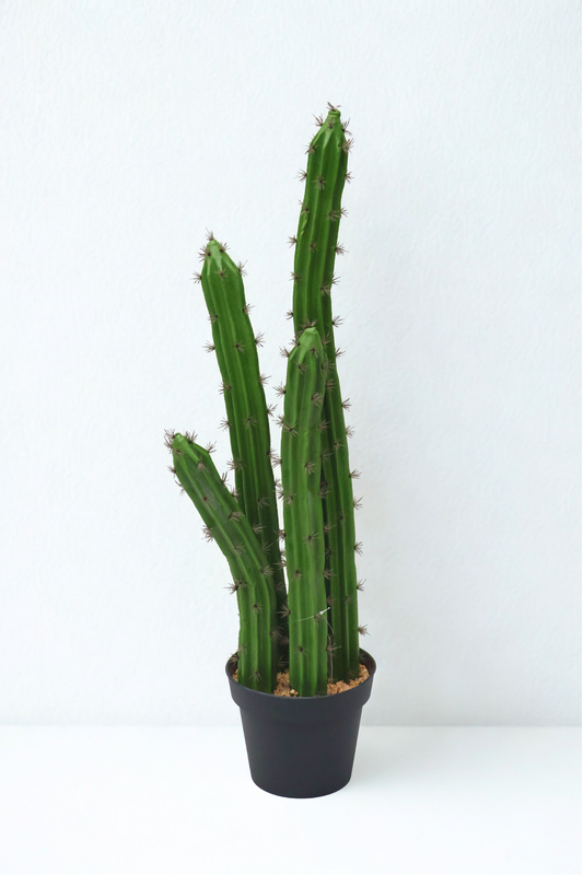 Artificial Cactus Potted Plant