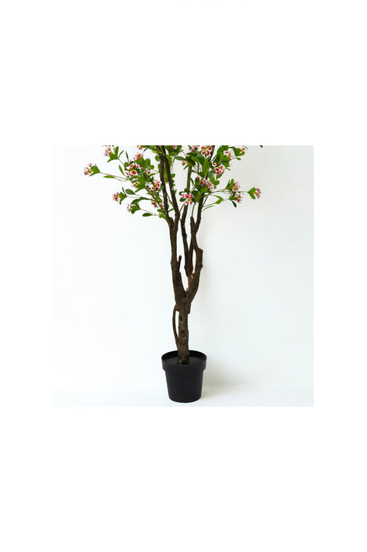 Artificial Escallonia Tree