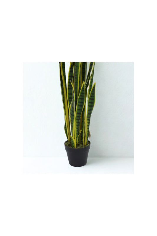 Artificial Snake Plant