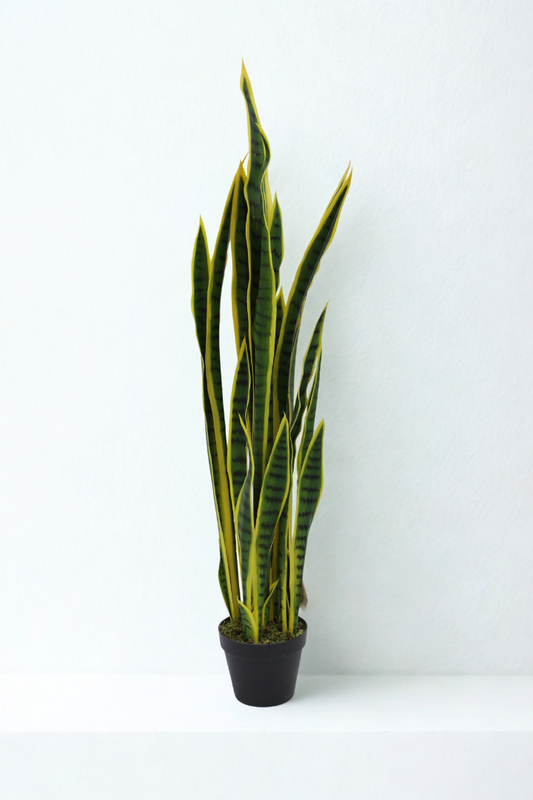 Artificial Snake Plant